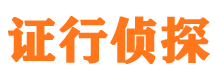 青河市私家侦探